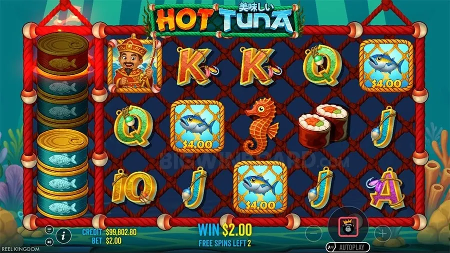 pin77 Understanding Roulette Odds