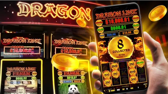 Live Casino Guide
